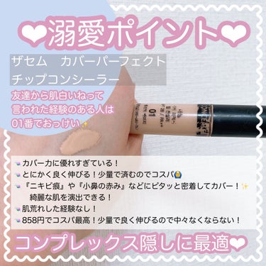 カバーパーフェクション チップコンシーラー/the SAEM/リキッドコンシーラーを使ったクチコミ（4枚目）