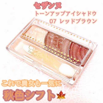 トーンアップアイシャドウ/CEZANNE/アイシャドウパレットを使ったクチコミ(1枚目)