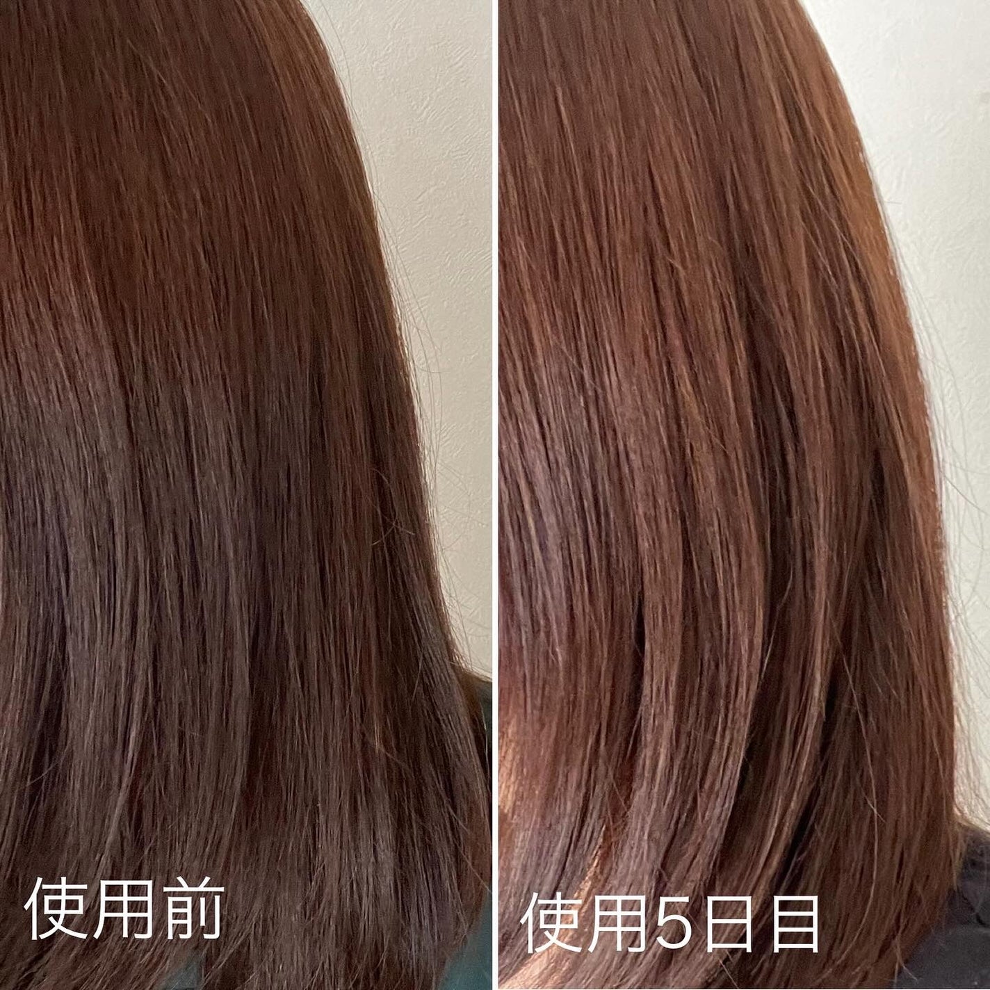 GLOSSY COAT SHAMPOO / TREATMENT/SANUS HAIR FILTER/市販シャンプーを使ったクチコミ(5枚目)