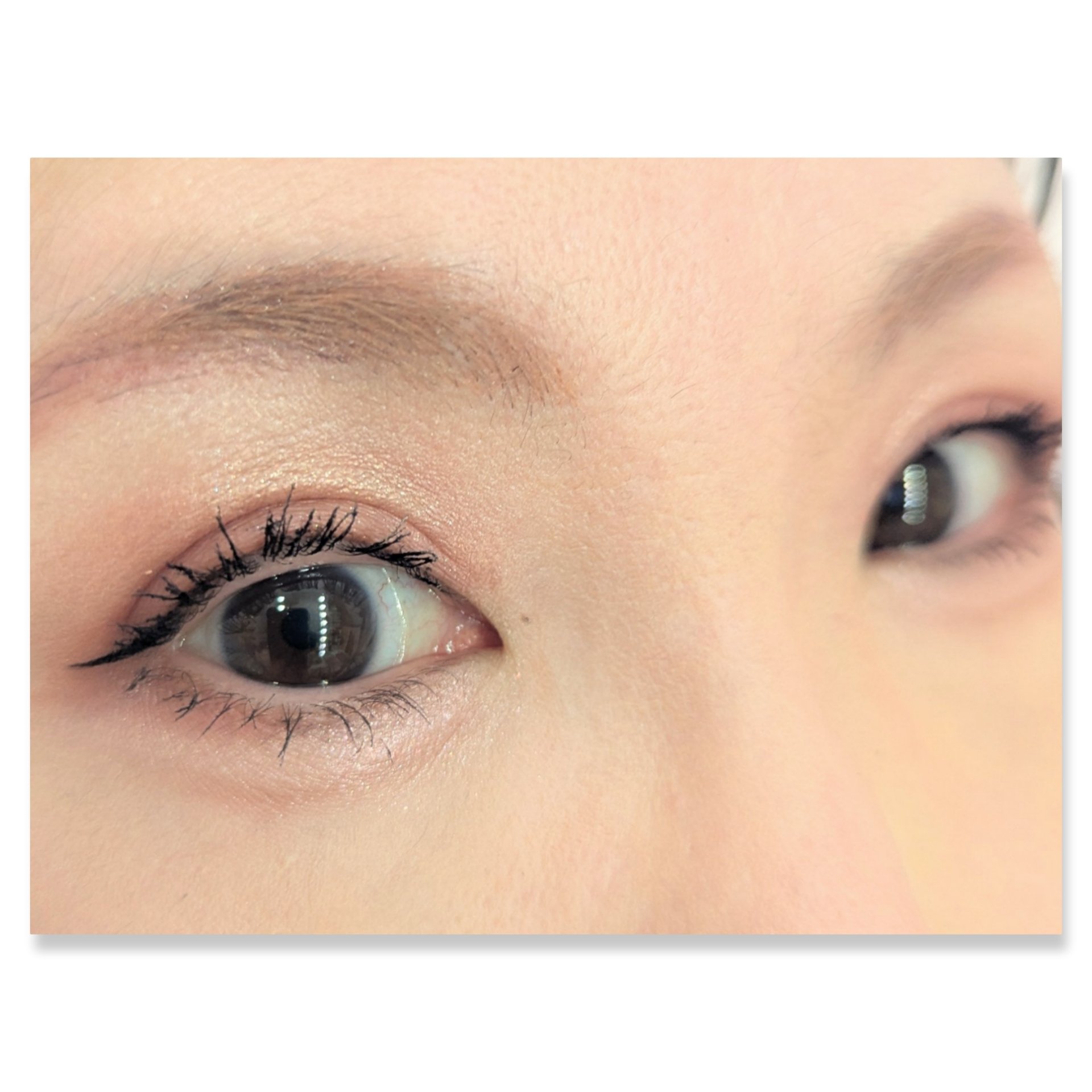 パノラマデザイン アイパレット/Visée/アイシャドウパレットを使ったクチコミ（2枚目）