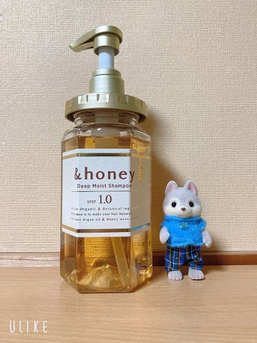 ディープモイスト シャンプー1.0／ヘアトリートメント2.0/&honey/シャンプー・コンディショナーを使ったクチコミ（1枚目）