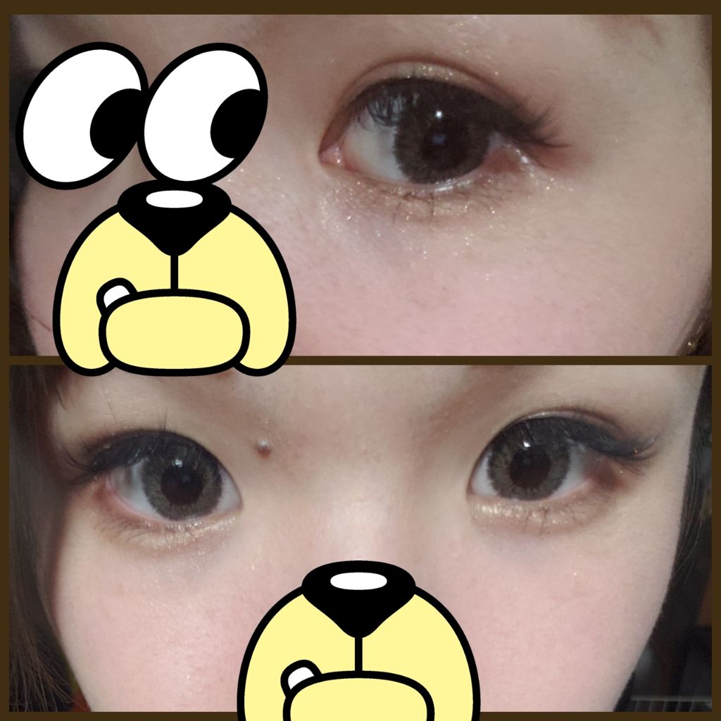 secretcandymagic 1day Premium(シークレットキャンディーマジックワンデープレミア)/secret candymagic/ワンデー(1DAY)カラコンを使ったクチコミ(2枚目)