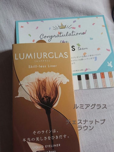 スキルレスライナー/LUMIURGLAS/リキッドアイライナーを使ったクチコミ（1枚目）