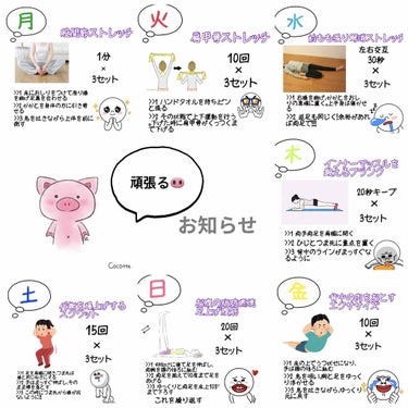 ブー子🐽/ながらダイエットの旅に出る on LIPS 「皆さんこんばんは(*＾▽＾*)西の国から来ましたブタのブー子で..」（1枚目）