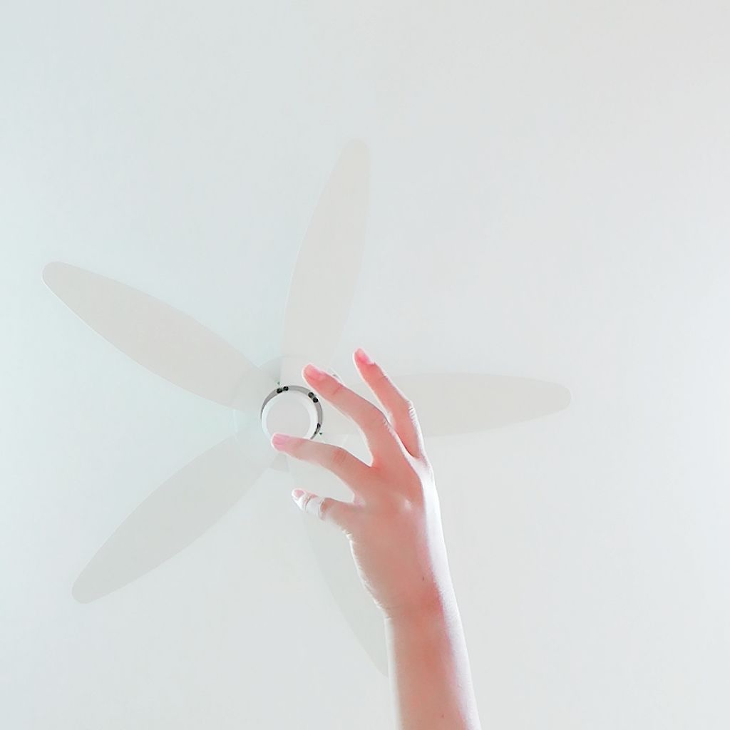 天然こんにゃくパフ/DAISO/その他スキンケアグッズを使ったクチコミ(3枚目)