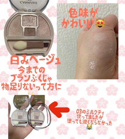 プランぷくコーデアイズNeo/キャンメイク/アイシャドウを使ったクチコミ(2枚目)