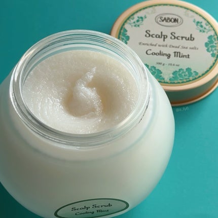 ヘッドスクラブ リフレッシング(ミント)/SABON/ヘッドスクラブを使ったクチコミ(4枚目)