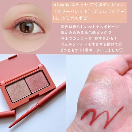 エテュセ アイエディション(カラーパレット)/ettusais/アイシャドウパレットを使ったクチコミ(9枚目)