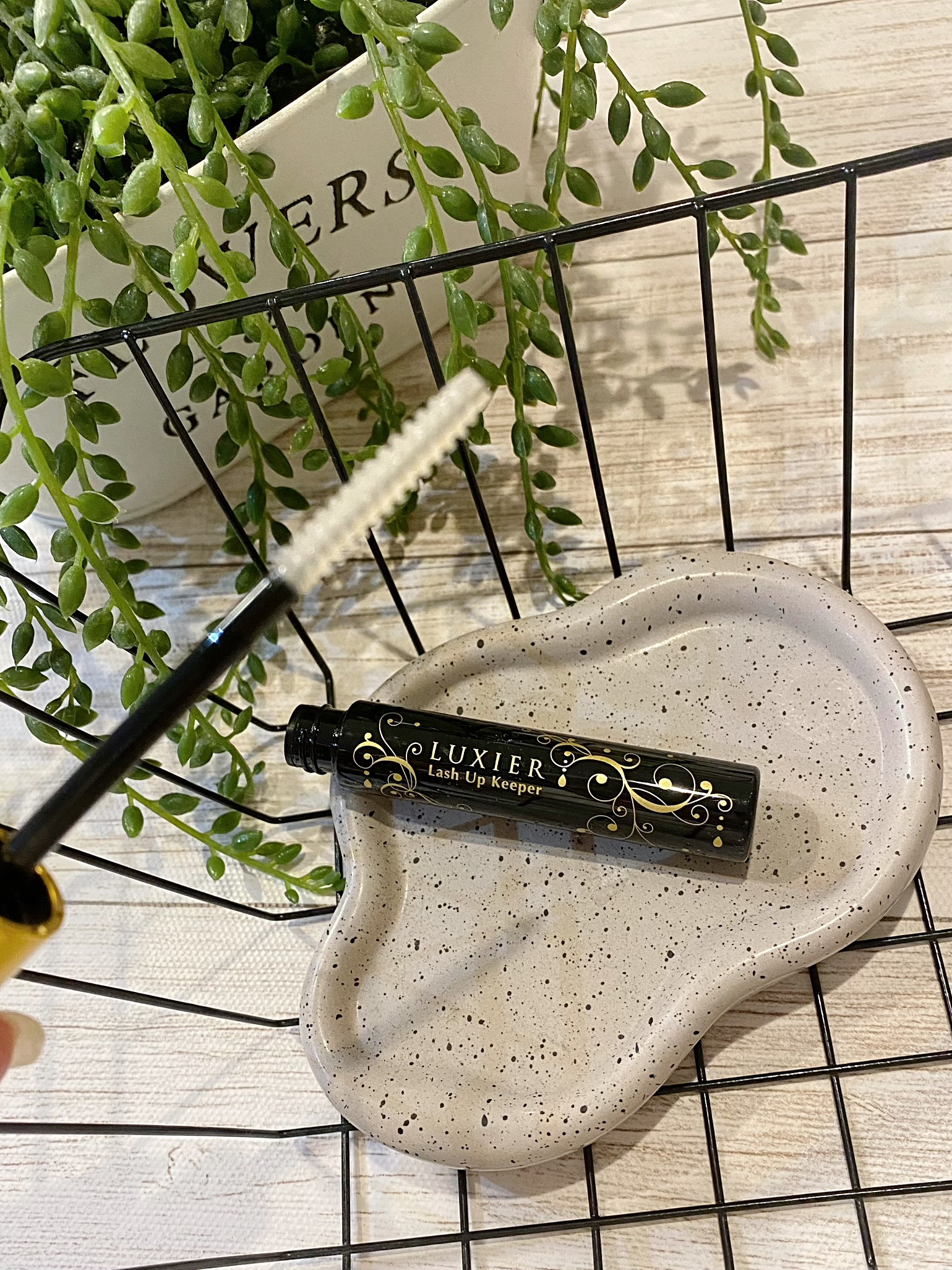 ラッシュアップキーパー/LUXIER/マスカラ下地を使ったクチコミ（3枚目）