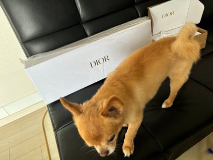 ミス ディオール ボディ スクラブ/Dior/ボディスクラブを使ったクチコミ(8枚目)