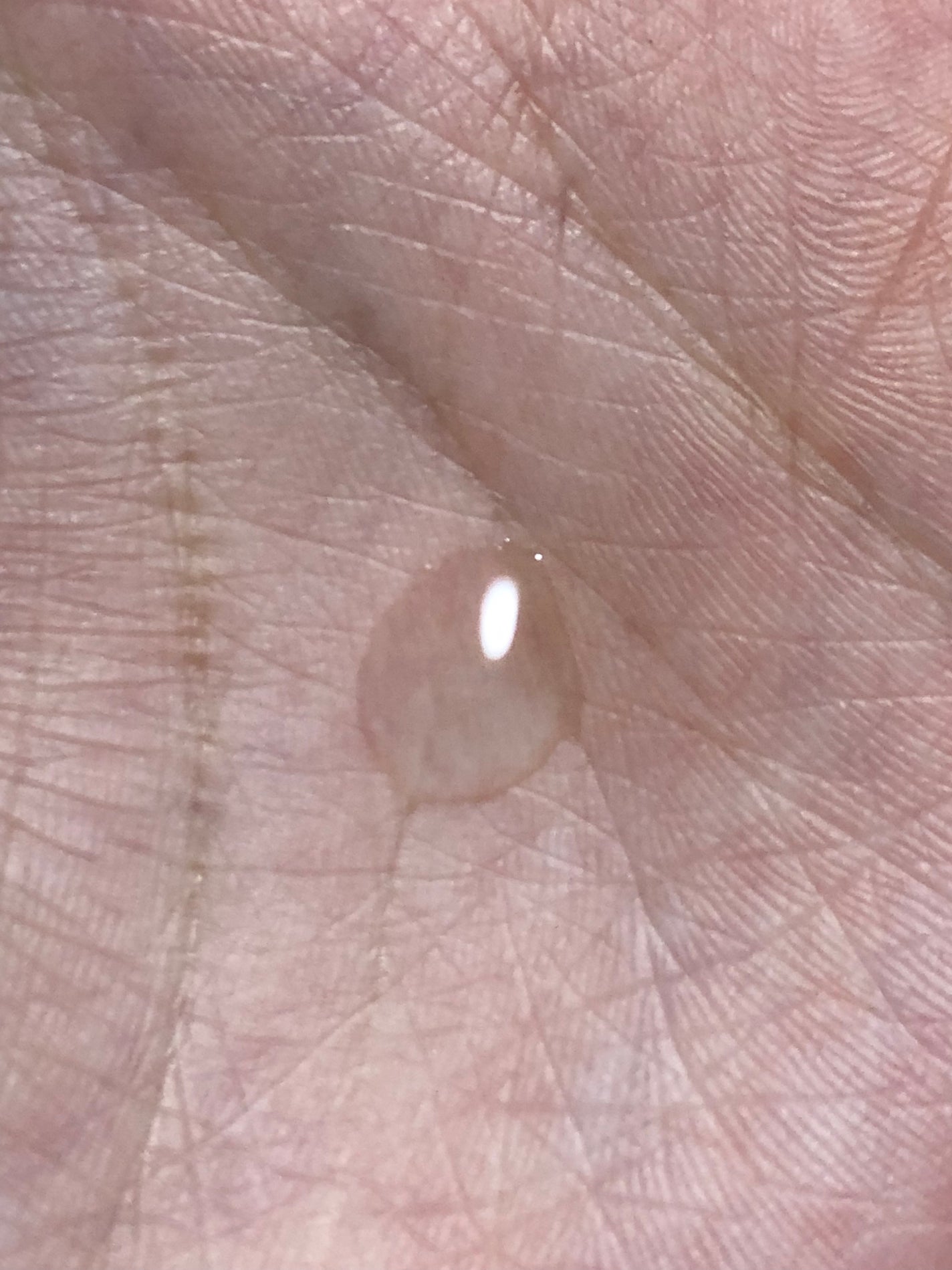 ガラクナイアシン2.0エッセンス/manyo/美容液を使ったクチコミ(3枚目)