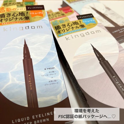 キングダム リキッドアイライナーR1/キングダム/リキッドアイライナーを使ったクチコミ(3枚目)