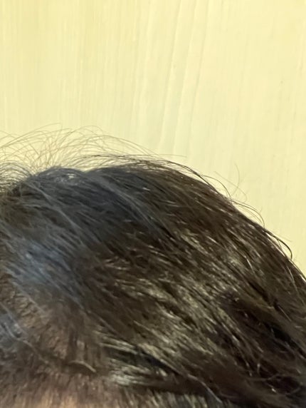 シャンプー/コンディショナー 根元からふんわり/セグレタ/市販シャンプーを使ったクチコミ(9枚目)