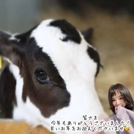 【旧】サンク クルール クチュール/Dior/アイシャドウパレットを使ったクチコミ(2枚目)