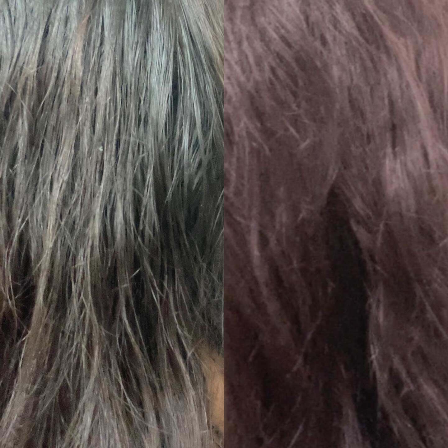 エアリーブリーチ/ビューティーン/ヘアカラーを使ったクチコミ（3枚目）