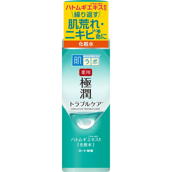 薬用 極潤 スキンコンディショナー 170ml（つめかえ用）/肌ラボ/化粧水を使ったクチコミ（1枚目）