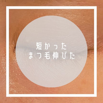 エグータム/アルマダスタイル/まつげ美容液を使ったクチコミ(1枚目)
