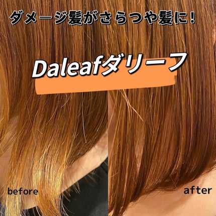 ヘアパック in ミスト/Daleaf/ヘアミルクを使ったクチコミ(1枚目)