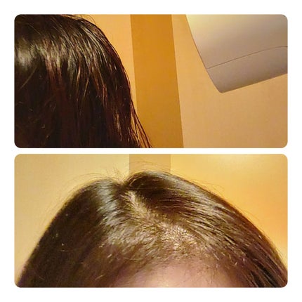 シャンプー/コンディショナー 根元からふんわり/セグレタ/市販シャンプーを使ったクチコミ(6枚目)