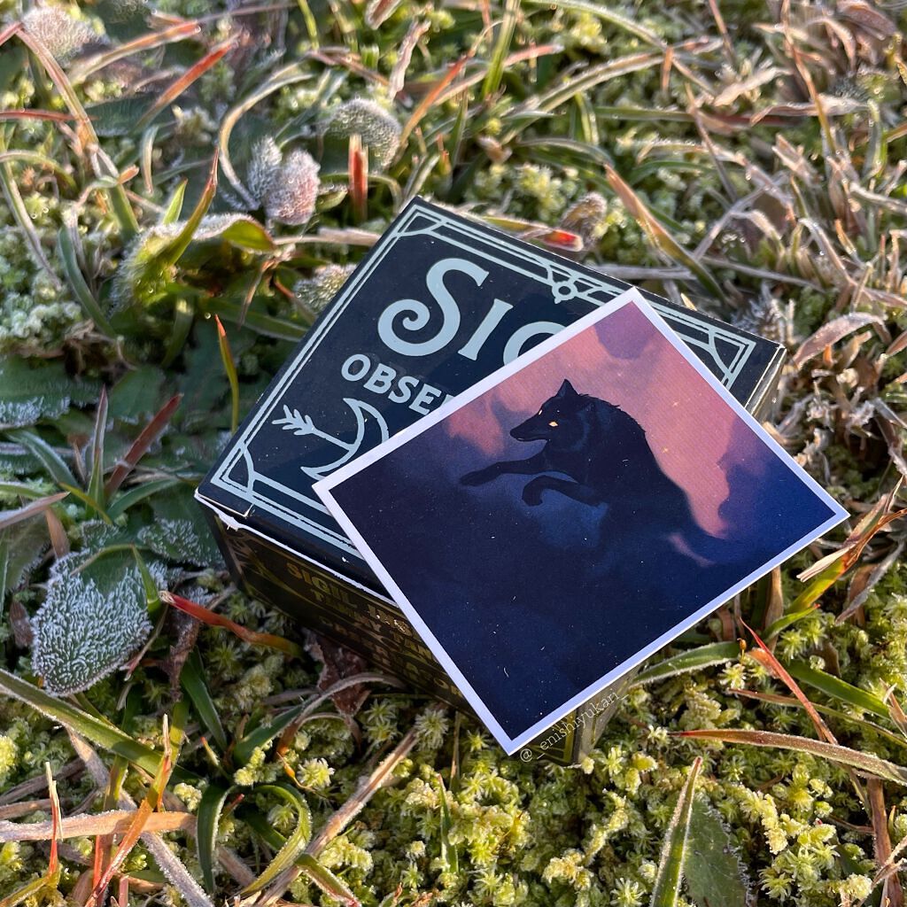 浮雲 パウダーチークス/SIGIL inspired/パウダーチークを使ったクチコミ(5枚目)