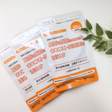 新谷植物発酵お腹すっきりケア/ウェルベスト/健康サプリメントを使ったクチコミ(4枚目)