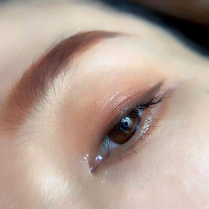 ミネラルクラッシィシャドー/エトヴォス/アイシャドウパレットを使ったクチコミ(4枚目)