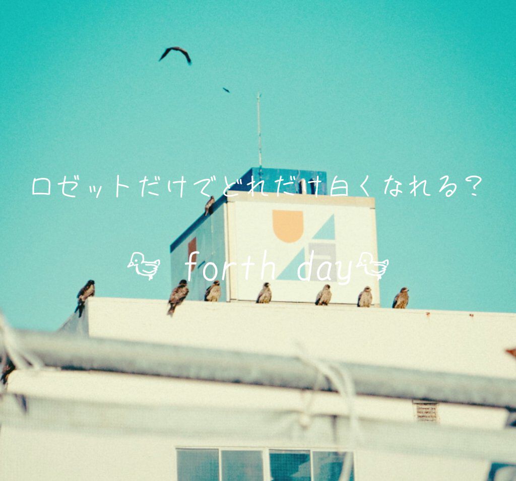 ロゼット洗顔パスタ ホワイトダイヤ/ロゼット/洗顔フォームを使ったクチコミ（1枚目）