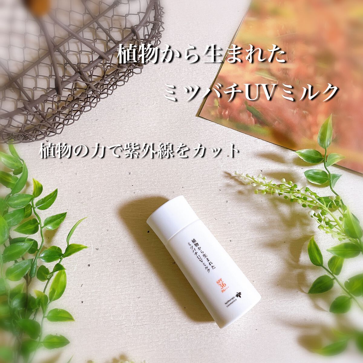 植物から生まれたミツバチUVミルク/アピセラピーコスメティクス/日焼け止めミルクを使ったクチコミ（1枚目）