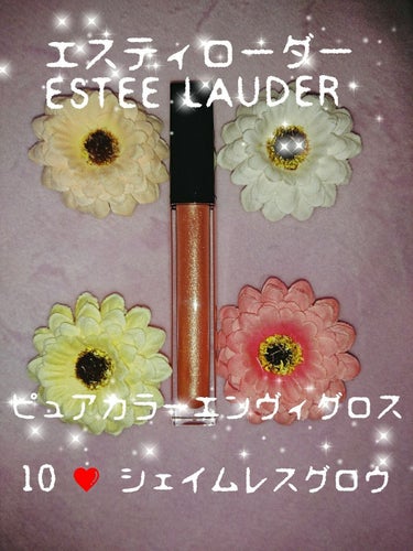 ピュア カラー エンヴィ グロス/ESTEE LAUDER/リップグロスを使ったクチコミ（1枚目）