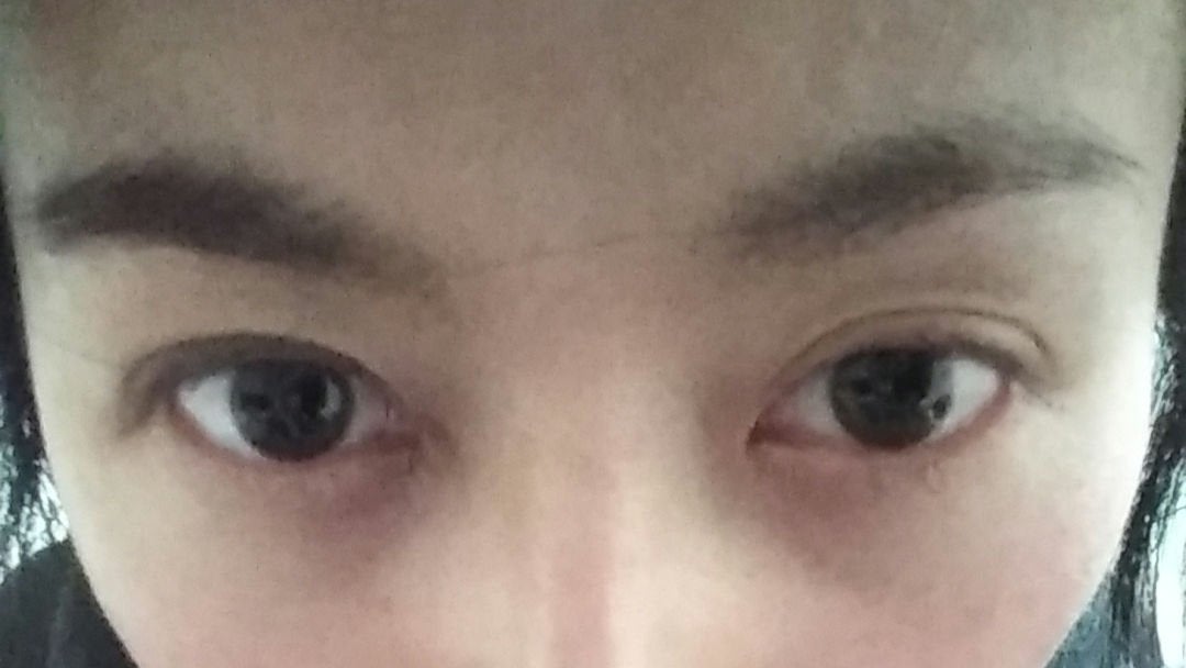 color icon 5-pan eyeshadow palette/wet 'n' wild/アイシャドウパレットを使ったクチコミ(2枚目)