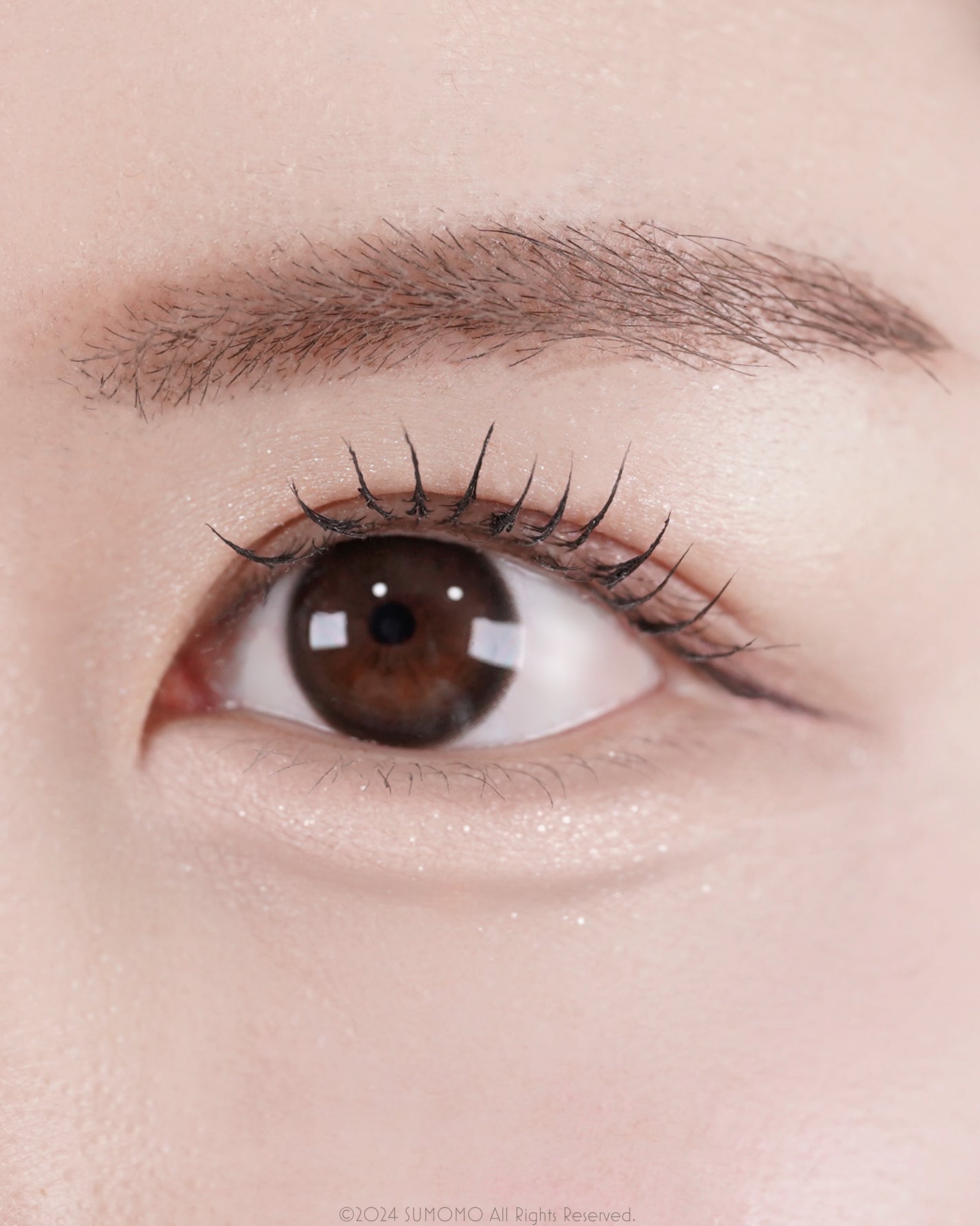 プランぷくコーデアイズ/キャンメイク/パウダーアイシャドウを使ったクチコミ(7枚目)