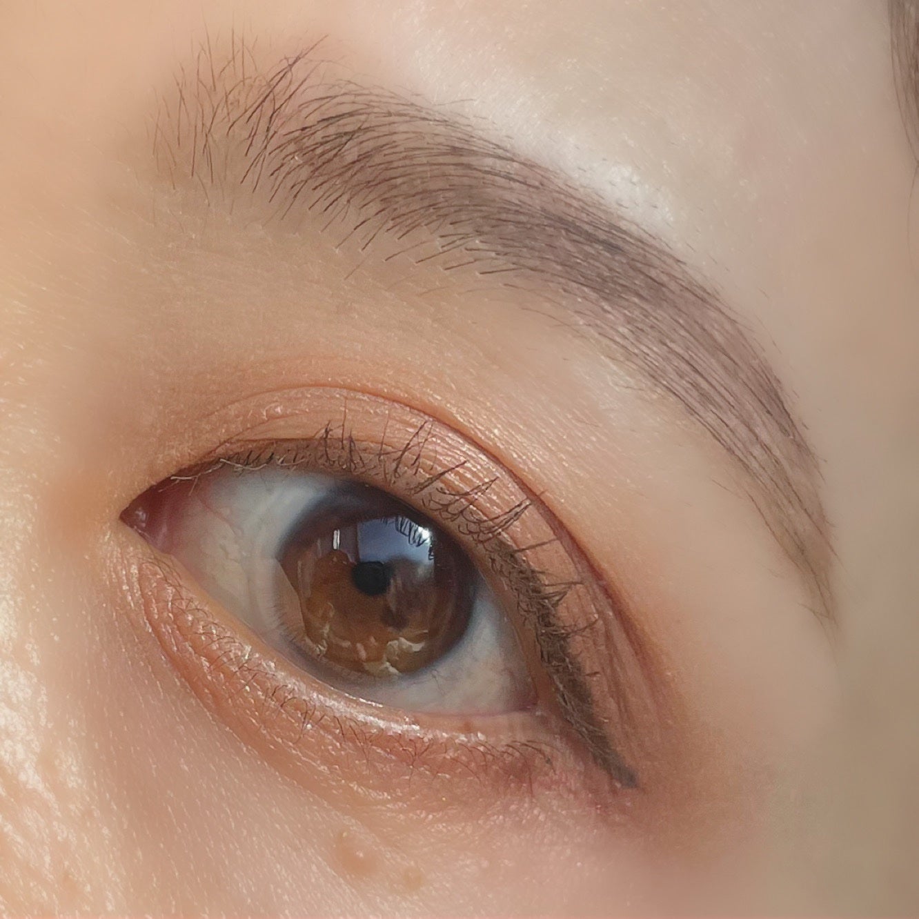 アイカラーレーション/LUNASOL/アイシャドウパレットを使ったクチコミ(6枚目)