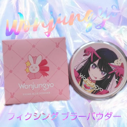 ウォンジョンヨ フィクシングブラーパウダー N/Wonjungyo/ルースパウダーを使ったクチコミ(1枚目)