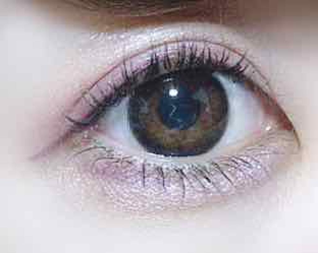 ロマンティックニュアンスアイライナー/キャンメイク/リキッドアイライナーを使ったクチコミ（3枚目）