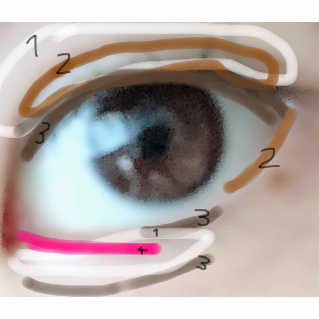 シアーリップカラー（旧） 01 ピュアレッド/OPERA/リップグロスを使ったクチコミ（3枚目）