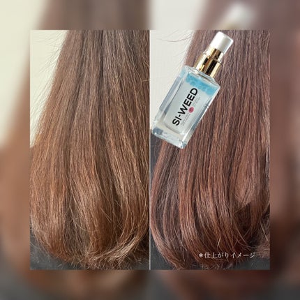 ORGANIC HAIR SI-WEED MIST/PINKGHOST/ヘアミストを使ったクチコミ(3枚目)