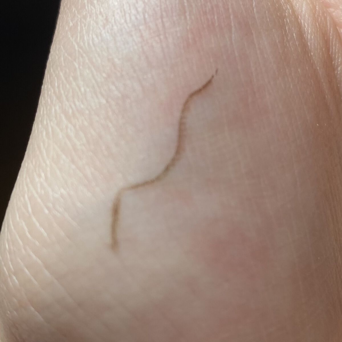 1DAY TATTOO プロキャスト ザ・アイライナー/K-パレット/リキッドアイライナーを使ったクチコミ（3枚目）