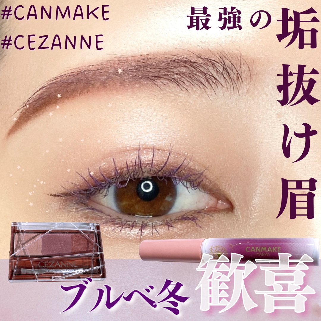 ノーズ＆アイブロウパウダー/CEZANNE/パウダーアイブロウを使ったクチコミ（1枚目）