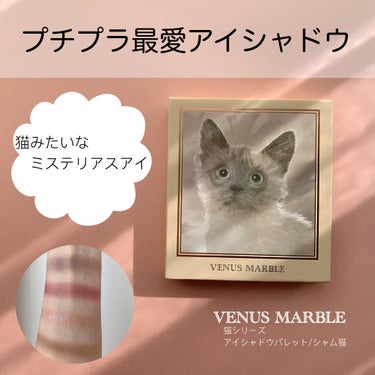 Venus Marble アイシャドウキャットシリーズ/Venus Marble/パウダーアイシャドウを使ったクチコミ（1枚目）