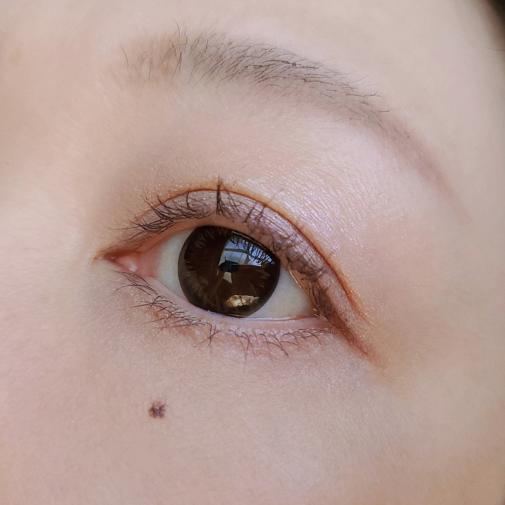 ダブルアイシャドウ/and us/アイシャドウパレットを使ったクチコミ（3枚目）