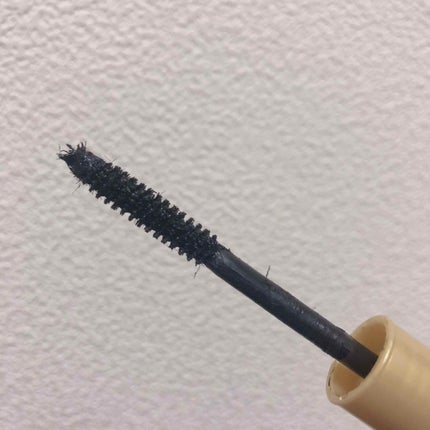 ラッシュキング/MAJOLICA MAJORCA/マスカラを使ったクチコミ(2枚目)