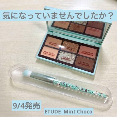 チョコミント スペシャルキット/ETUDE/メイクアップキットを使ったクチコミ（1枚目）