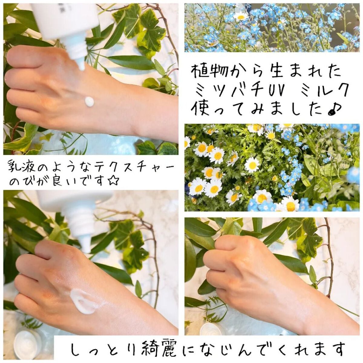 植物から生まれたミツバチUVミルク/アピセラピーコスメティクス/日焼け止めミルクを使ったクチコミ(3枚目)