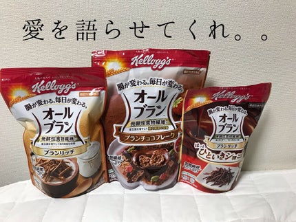オールブラン ブランリッチ ほっとひといきショコラ 220g オールブラン ブランリッチ ほっとひといきショコラ 220g