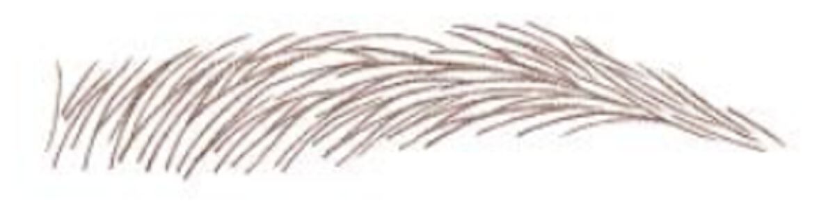 スリムエキスパートＲ 04 ルディブラウン