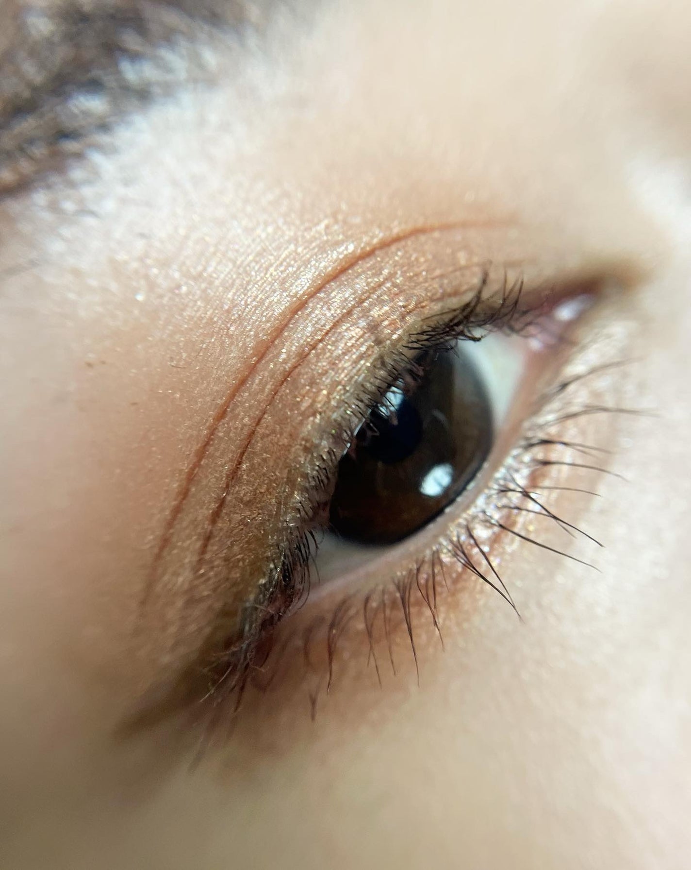 リュクス アイ & チーク パレット/BOBBI BROWN/アイシャドウパレットを使ったクチコミ(5枚目)