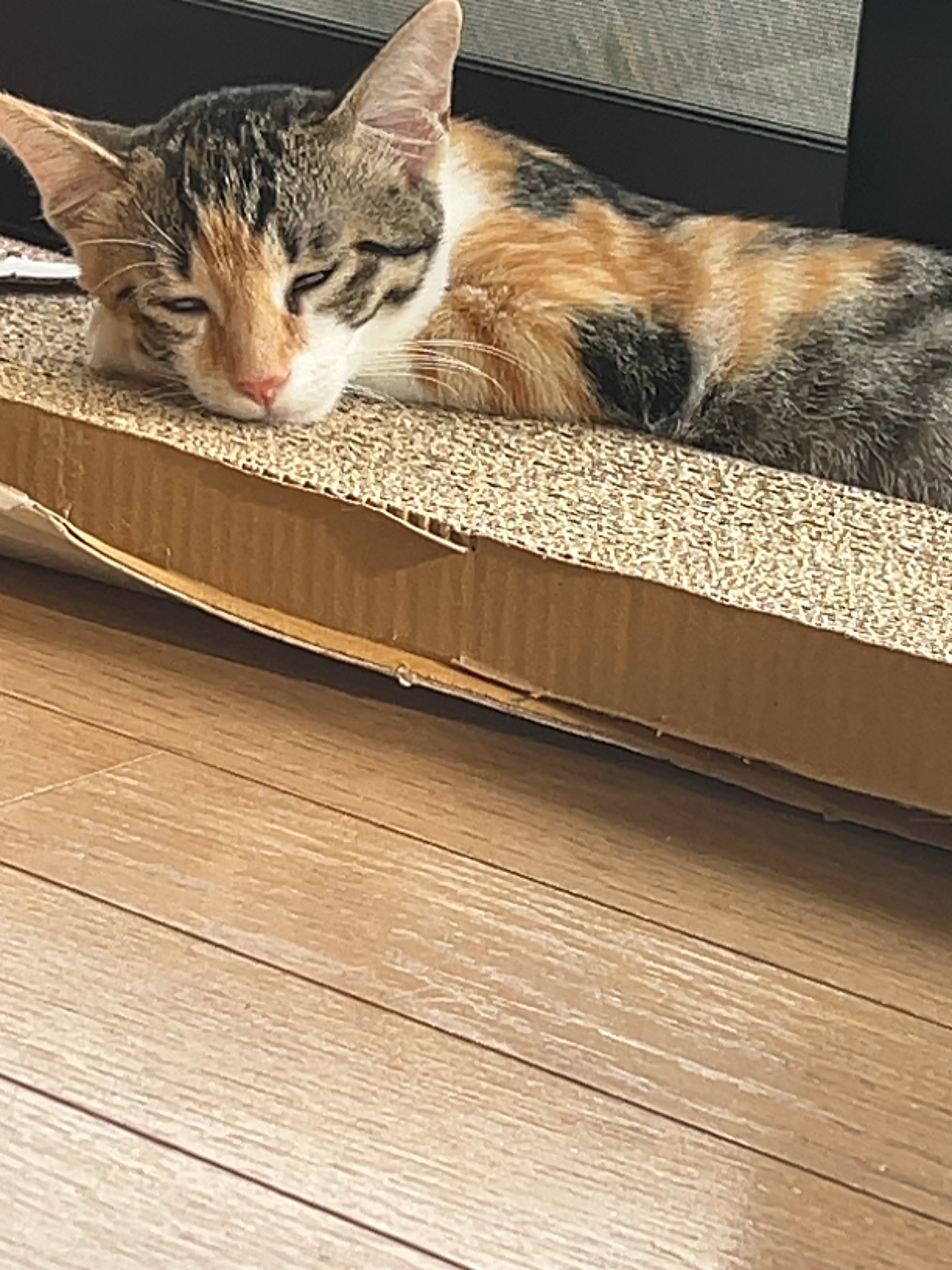 冷シート 無香性/ビオレ/ボディシートを使ったクチコミ（3枚目）