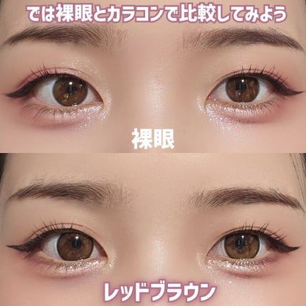 Secretive Kristen 1day/Hapa kristin/ワンデー(1DAY)カラコンを使ったクチコミ(9枚目)