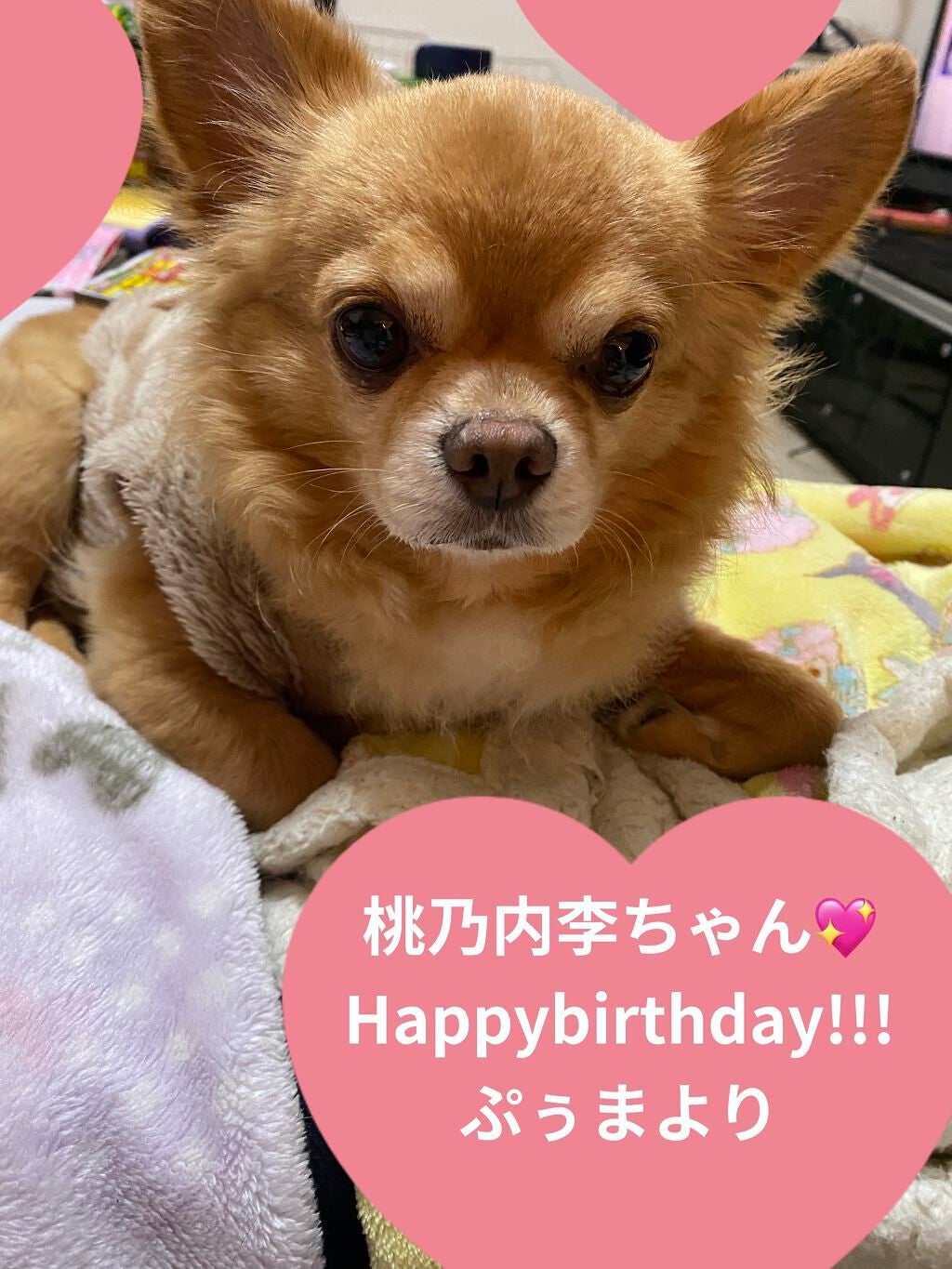 カラフルネイルズ/キャンメイク/マニキュアを使ったクチコミ(4枚目)