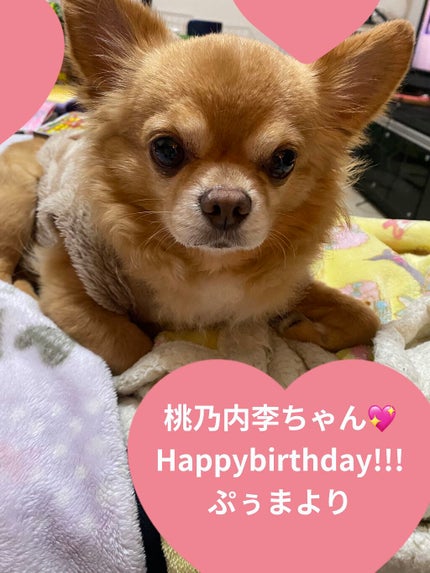 カラフルネイルズ/キャンメイク/マニキュアを使ったクチコミ(4枚目)